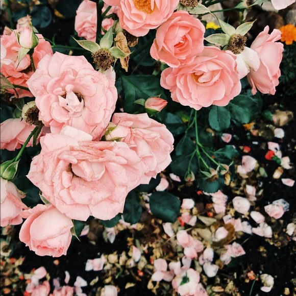 Closet on Vacation Hold September 5th-9th - Picture 1 of 1